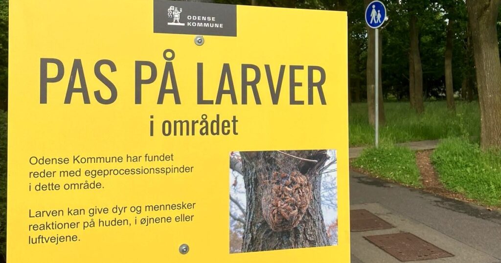 Odense Kommunes gule skilt "Pas på larver i området" ved en sti - et tydeligt nej alle retter sig efter